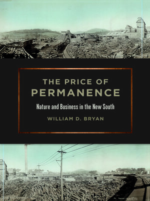 cover image of The Price of Permanence